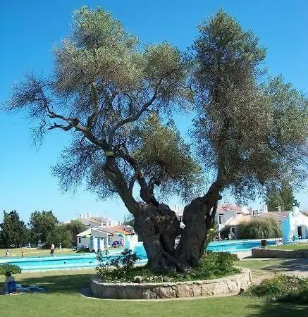Pedras D'el Rei - Charmosa Vivenda T3 *